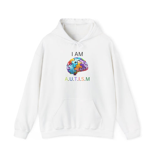 Autism™ Hooded Sweatshirt